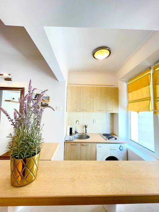 Boutique Apartment In The Bucharest City Center Buitenkant foto